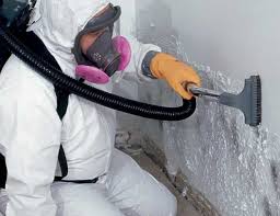 Best Basement Mold Removal  in Rahway, NJ